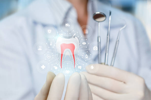 Professional Holistic Dental Care Services in Hamilton, AL